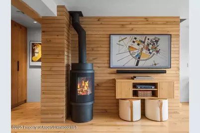 100 N 8th Street #15, Aspen, CO 81611 - Photo 3