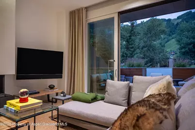 100 E Cooper Avenue #11, Aspen, CO 81611 - Photo 15