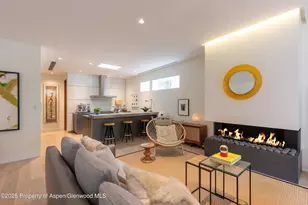 100 E Cooper Ave, Aspen, CO 81611 - Photo 9