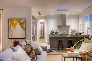 100 E Cooper Ave, Aspen, CO 81611 - Photo 11