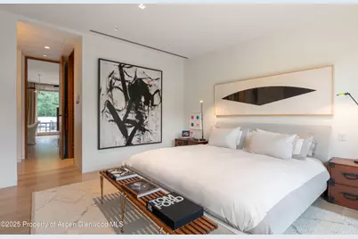 100 E Cooper Avenue #11, Aspen, CO 81611 - Photo 23