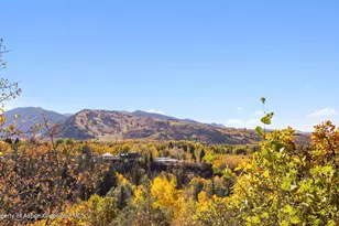 715 Willoughby Way, Aspen, CO 81611 - Photo 65