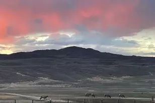 2956 Co Rd 37, Hamilton, CO 81638 - Photo 159