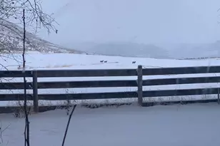 2956 Co Rd 37, Hamilton, CO 81638 - Photo 161