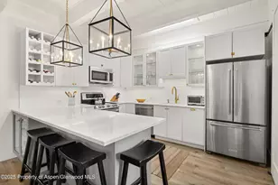 731 E Durant Ave, Aspen, CO 81611 - Photo 9