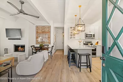 731 E Durant Avenue #Unit 21, Aspen, CO 81611 - Photo 23