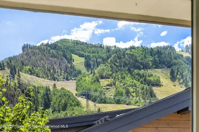 731 E Durant Avenue #Unit 21, Aspen, CO 81611 - Photo 5