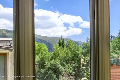 731 E Durant Avenue #Unit 21, Aspen, CO 81611 - Photo 7