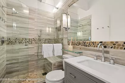 731 E Durant Avenue #Unit 21, Aspen, CO 81611 - Photo 15