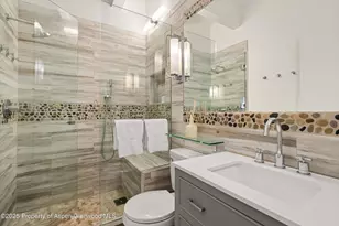 731 E Durant Ave, Aspen, CO 81611 - Photo 15