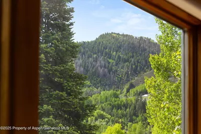 119 E Cooper Avenue #25, Aspen, CO 81611 - Photo 11