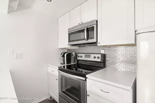 119 E Cooper Ave, Aspen, CO 81611 - Photo 7