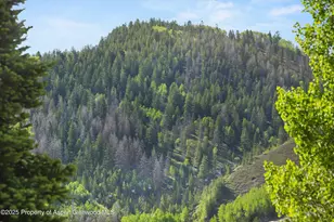 119 E Cooper Ave, Aspen, CO 81611 - Photo 11
