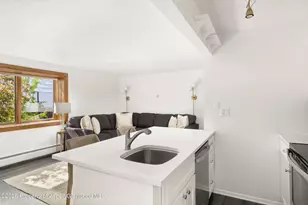 119 E Cooper Ave, Aspen, CO 81611 - Photo 5