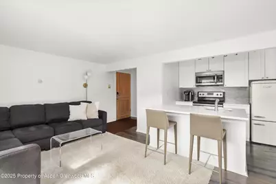 119 E Cooper Avenue #25, Aspen, CO 81611 - Photo 3