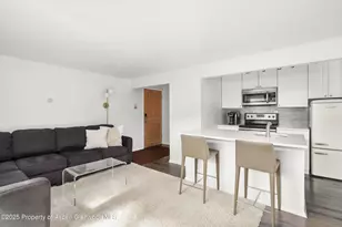 119 E Cooper Ave, Aspen, CO 81611 - Photo 3