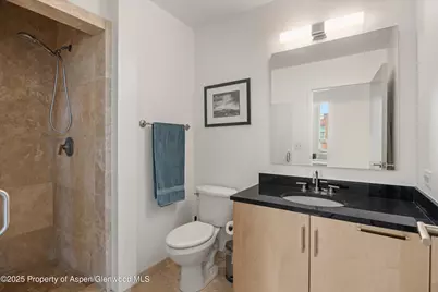 361 Robinson Street #308, Basalt, CO 81621 - Photo 17