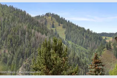 605 E Main Street #8, Aspen, CO 81611 - Photo 9