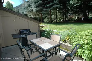 625 S W End St, Aspen, CO 81611 - Photo 15