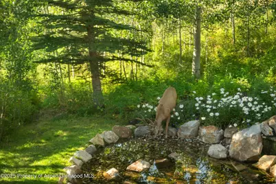 1926 Faraway Road, Snowmass Village, CO 81615 - Photo 5