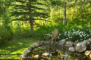 1926 Faraway Rd, Snowmass Village, CO 81615 - Photo 5