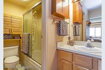 313 Vine Street #313, Aspen, CO 81611 - Photo 19