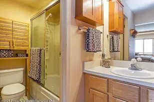 313 Vine St, Aspen, CO 81611 - Photo 19