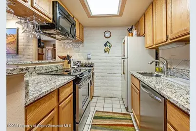 313 Vine Street #313, Aspen, CO 81611 - Photo 9