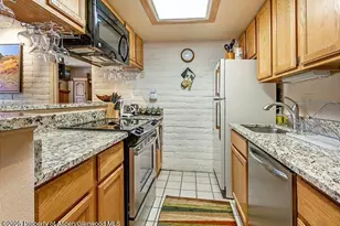 313 Vine St, Aspen, CO 81611 - Photo 9