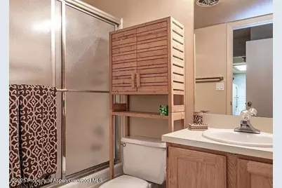 313 Vine Street #313, Aspen, CO 81611 - Photo 11