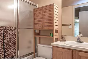 313 Vine St, Aspen, CO 81611 - Photo 11