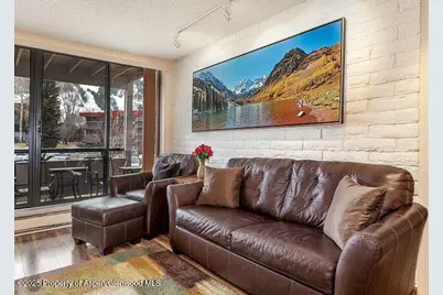 313 Vine Street #313, Aspen, CO 81611 - Photo 7