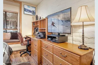 313 Vine Street #313, Aspen, CO 81611 - Photo 13
