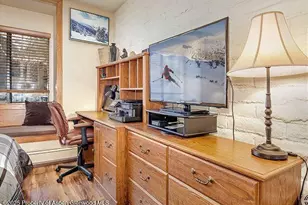 313 Vine St, Aspen, CO 81611 - Photo 13