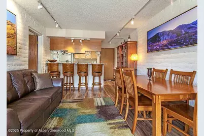 313 Vine Street #313, Aspen, CO 81611 - Photo 3