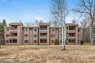 313 Vine St, Aspen, CO 81611 - Photo 1