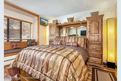 313 Vine Street #313, Aspen, CO 81611 - Photo 15