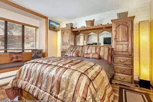 313 Vine St, Aspen, CO 81611 - Photo 15