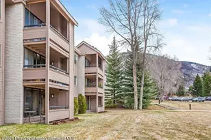 313 Vine St, Aspen, CO 81611 - Photo 17