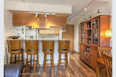 313 Vine Street #313, Aspen, CO 81611 - Photo 5