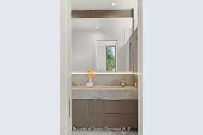 219 W Bleeker Street, Aspen, CO 81611 - Photo 31