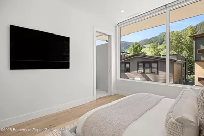 219 W Bleeker Street, Aspen, CO 81611 - Photo 29