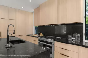 219 W Bleeker St, Aspen, CO 81611 - Photo 13