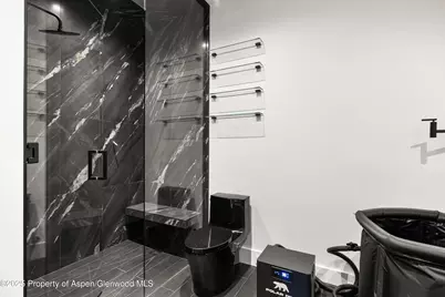 219 W Bleeker Street, Aspen, CO 81611 - Photo 49