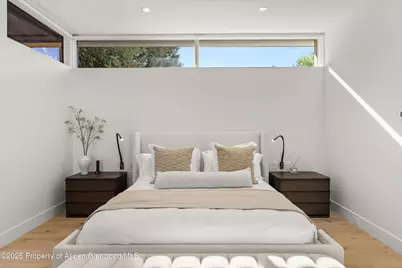 219 W Bleeker Street, Aspen, CO 81611 - Photo 21