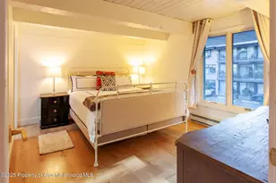 1039 E Cooper Ave, Aspen, CO 81611 - Photo 15