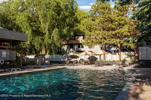 1039 E Cooper Ave, Aspen, CO 81611 - Photo 33