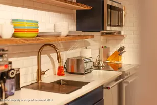 1039 E Cooper Ave, Aspen, CO 81611 - Photo 9