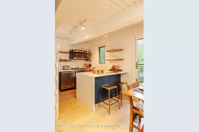 1039 E Cooper Avenue #16A, Aspen, CO 81611 - Photo 7