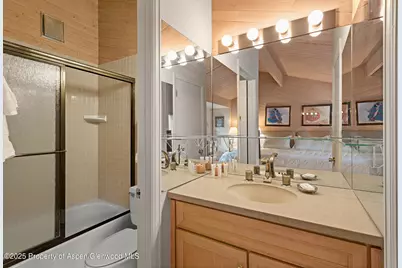 625 S West End Street #Unit 12, Aspen, CO 81611 - Photo 13